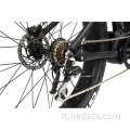 Mountain Bike controllata e stabile elettrica